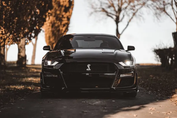 Casino777 Kazino Android/iOS programa